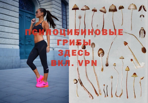 таблы Абаза