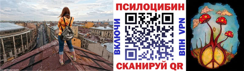 Псилоцибиновые грибы GOLDEN TEACHER  наркотики  Бирюсинск 